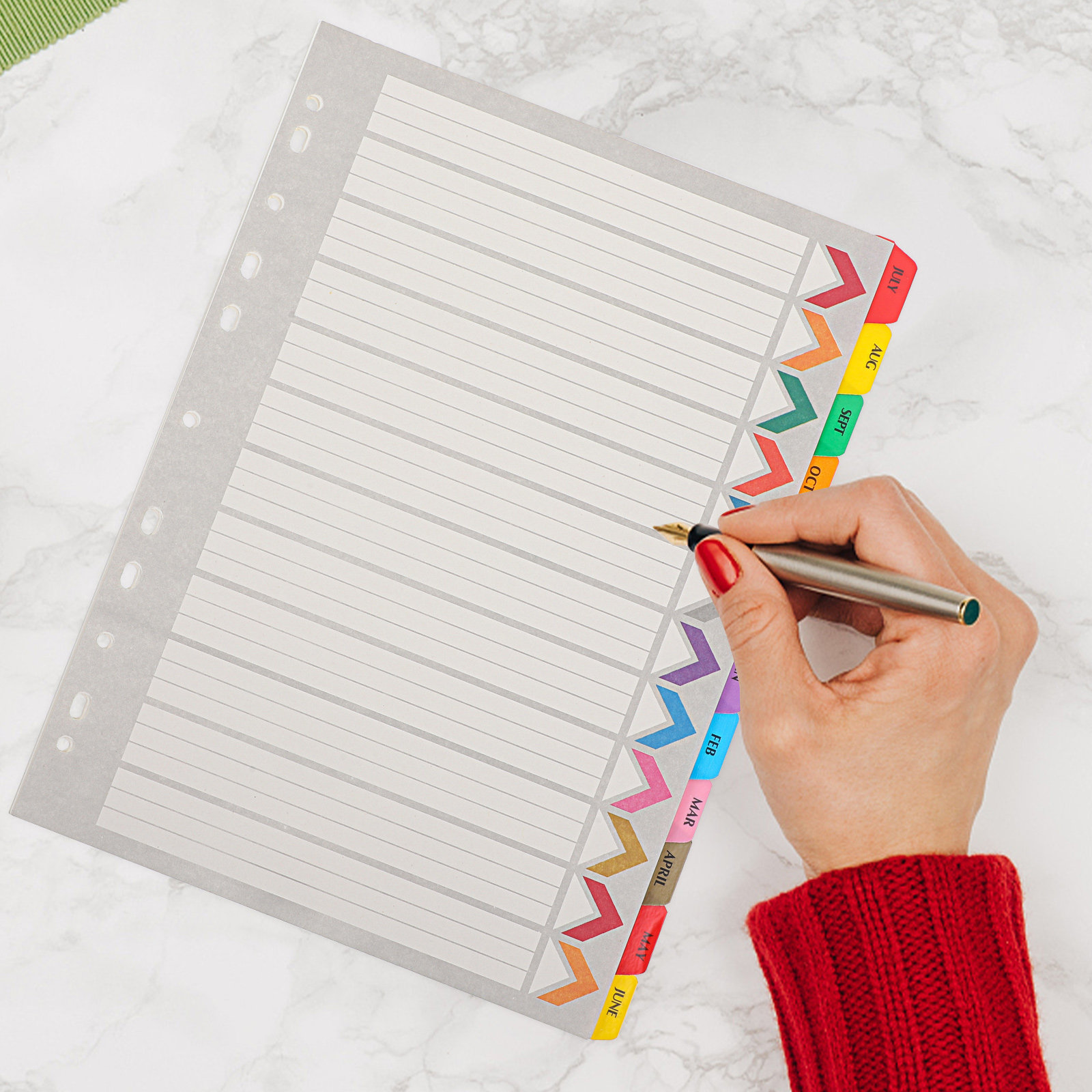 Tab Divider A4 - 12 Fogli Divisori per Raccoglitore con