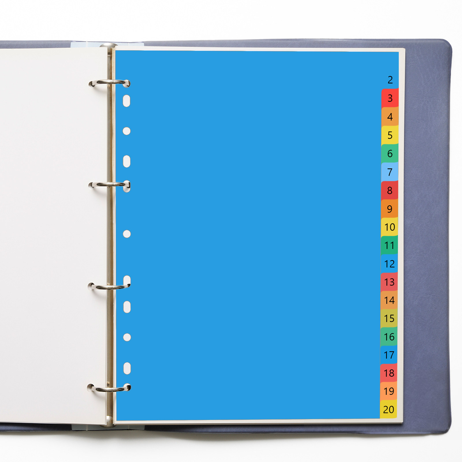 Tab Divider A4 - 20 Divisori a linguetta in plastica