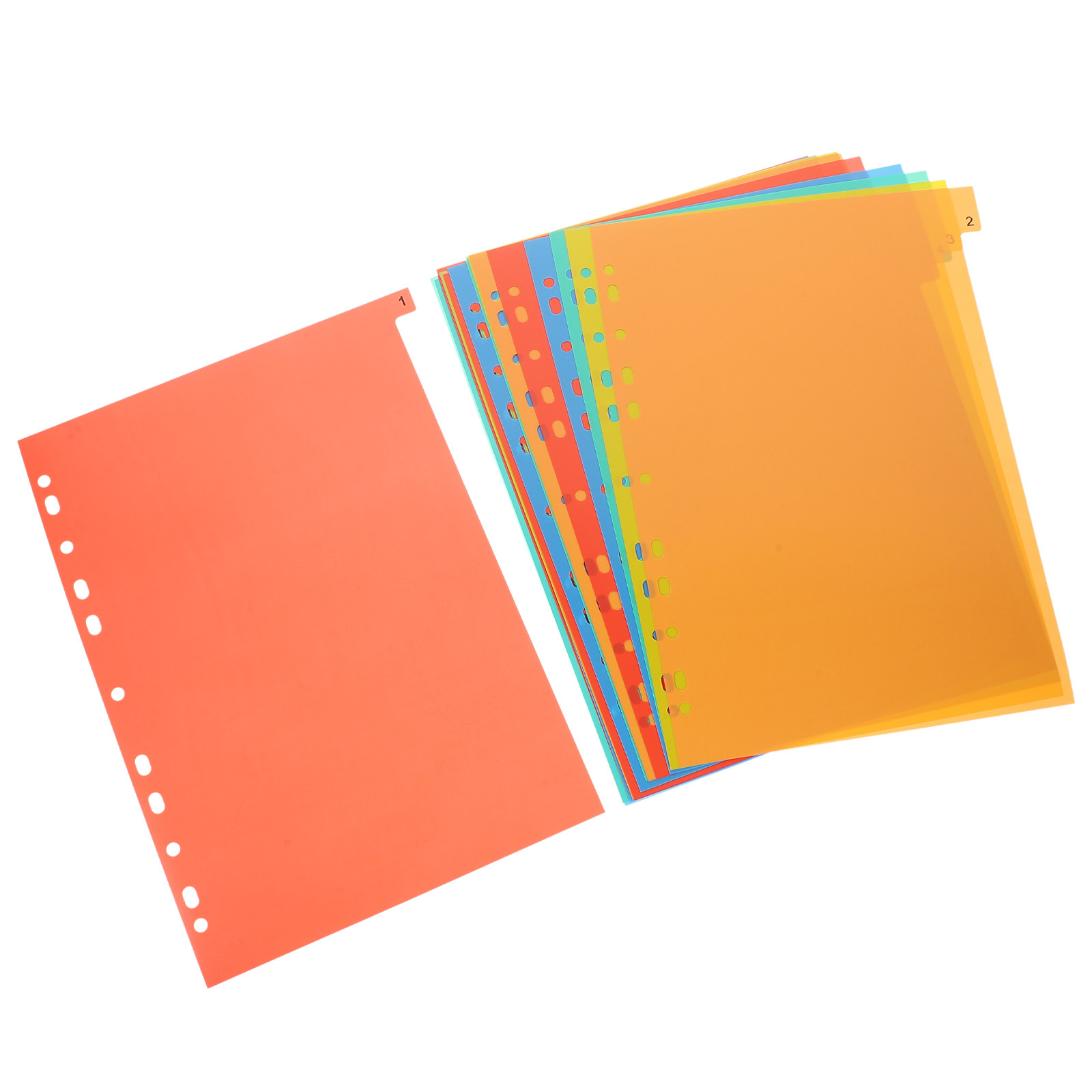 20 Fogli Divisori in Plastica  - Tab Divider A4 recensione e prezzo